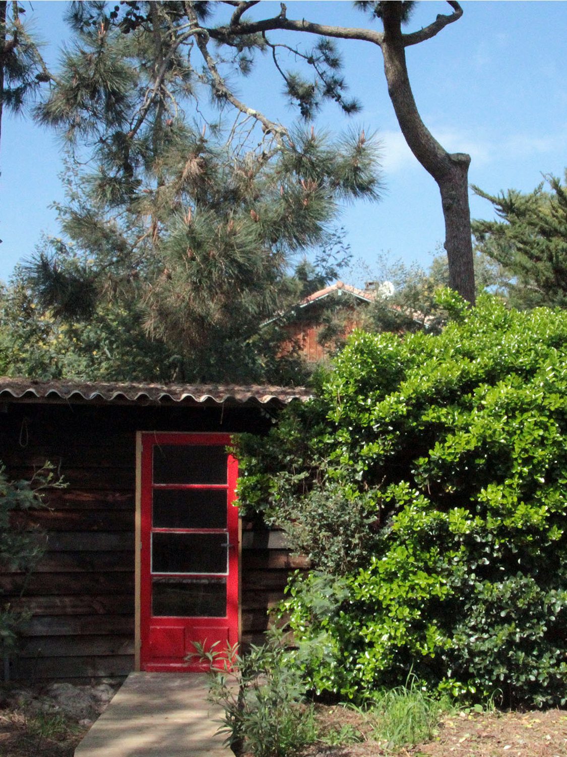 Cabane de la basquette, Cap Ferret